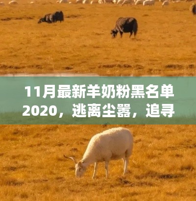 羊奶粉黑名單揭秘，追尋心靈寧靜之旅的別樣風(fēng)情