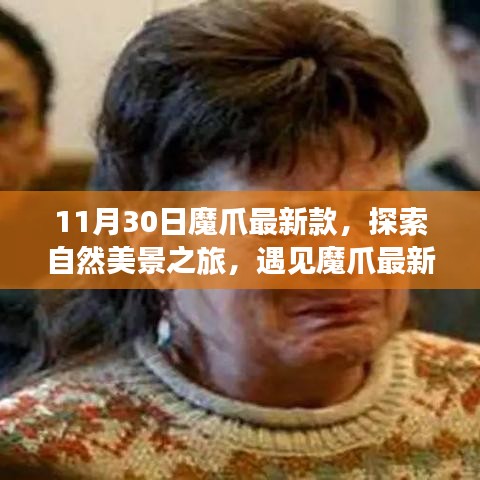 魔爪最新款探索之旅，自然美景的心靈寧靜之旅