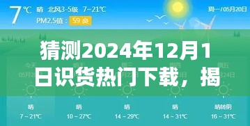 揭秘未來趨勢(shì)，預(yù)測2024年12月1日識(shí)貨熱門下載風(fēng)潮的揭秘與猜測