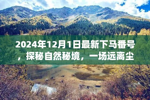 探秘自然秘境，啟程于2024年心靈之旅的冒險號角