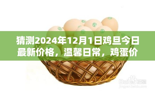 雞蛋價格之謎，探索2024年最新價格與友情的紐帶