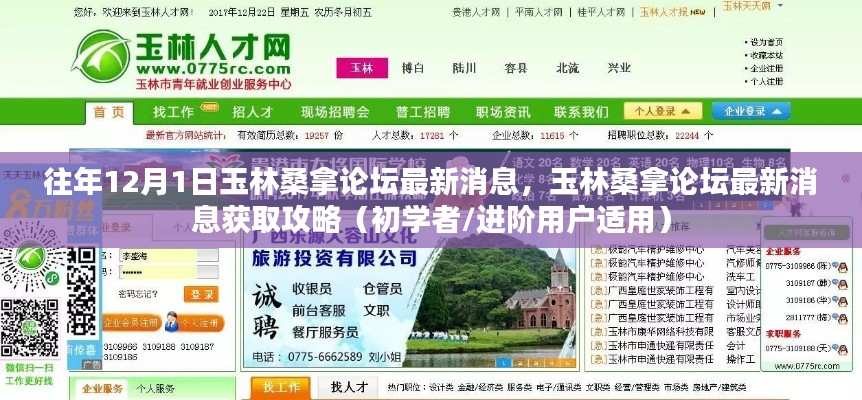 往年12月1日玉林桑拿論壇最新消息全解析，獲取攻略初學(xué)者與進(jìn)階用戶必讀