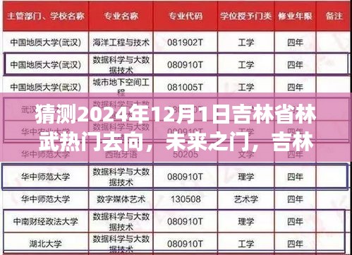 吉林林武未來展望，揭秘2024年熱門去向與奇妙之旅的溫馨歸宿