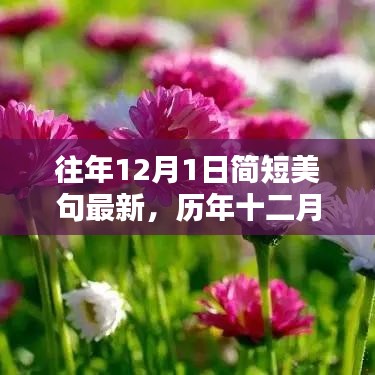 歷年十二月一日美妙瞬間盤點(diǎn)，簡短美句集錦