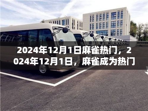 揭秘麻雀魅力背后的原因，為何它在2024年12月1日成為熱門焦點？