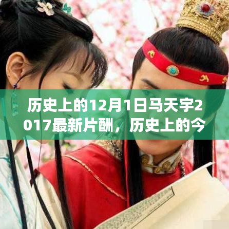 歷史上的今天，揭秘馬天宇勵志片酬之旅見證智慧與力量的蛻變