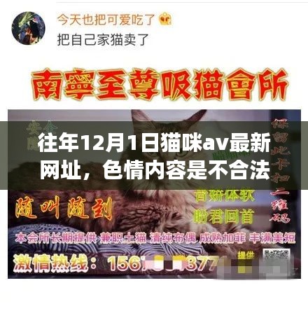 遠(yuǎn)離非法色情內(nèi)容，關(guān)注貓咪健康與日常護(hù)理的建議和指導(dǎo)