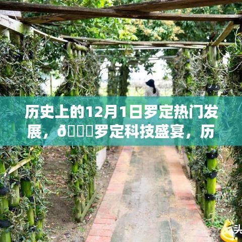 ??羅定科技盛宴，歷史上的12月1日羅定熱門發(fā)展新品重磅來襲回顧與前瞻