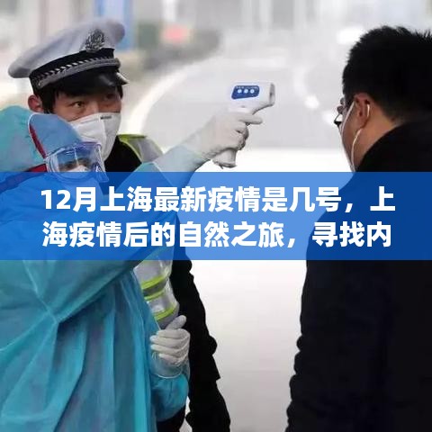 上海疫情后的自然之旅，尋找內(nèi)心的寧?kù)o與力量之旅（最新疫情動(dòng)態(tài)）