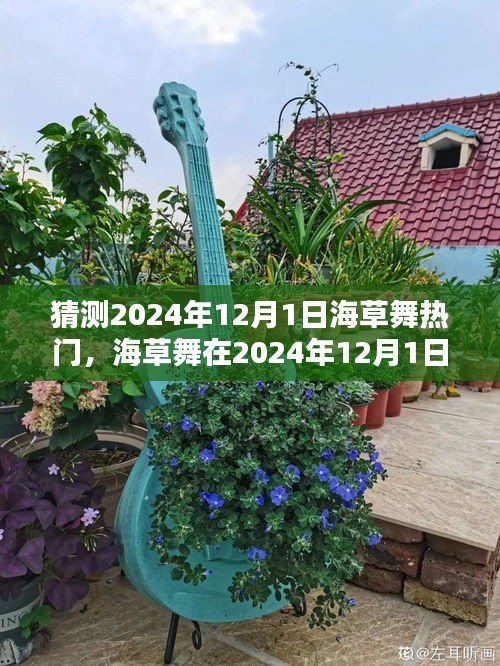 2024年12月1日海草舞流行趨勢預(yù)測，熱門舞蹈風(fēng)潮再起