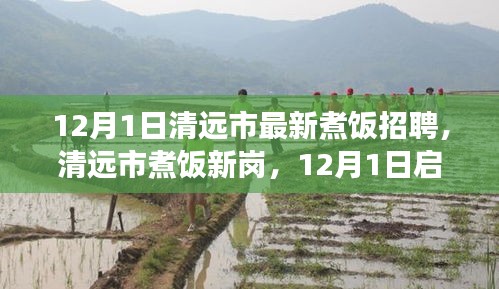 清遠市最新煮飯招聘啟航，烹飪?nèi)松晒Φ拿卦E探尋之路