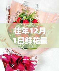 往年12月1日鮮花最新包裝圖片探析，視覺盛宴的背后利與弊