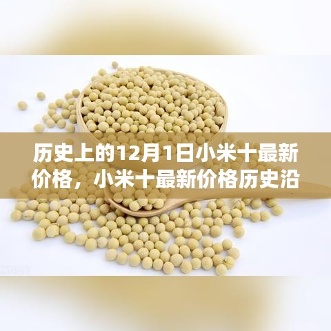 小米十最新價(jià)格深度解析，歷史沿革、目標(biāo)用戶群體分析與深度評(píng)測(cè)報(bào)告