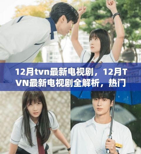 12月TVN新劇全解析，熱門新劇一網(wǎng)打盡