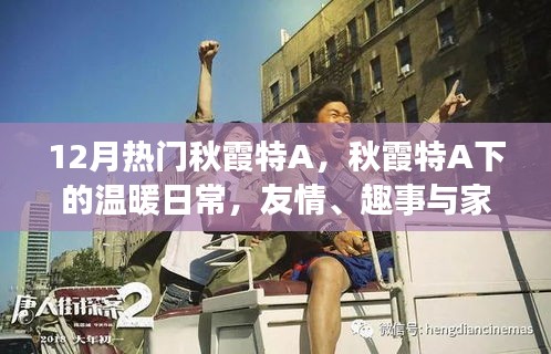 秋霞特A下的溫暖日常，友情、趣事與家的味道，12月熱門精選
