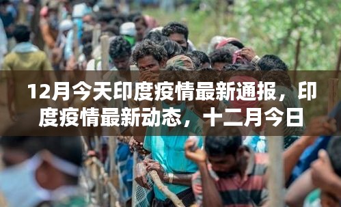 印度疫情最新動態(tài)，十二月今日通報更新