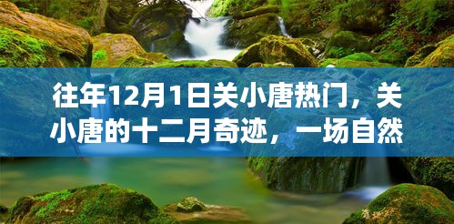 關(guān)小唐的十二月奇跡，自然美景治愈之旅，熱門話題揭秘