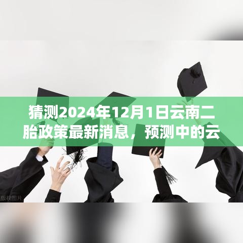 解讀未來趨勢，預測云南二胎政策新動向及最新消息（預計于2024年12月1日實施）