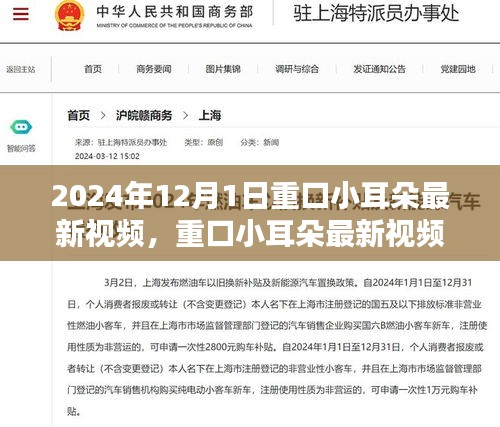 重口小耳朵最新視頻探討，內容與受眾接受度的微妙平衡揭秘（2024年）