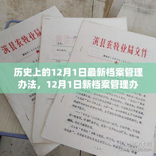 建議，新檔案管理辦法出臺，心靈與自然美景之旅啟程