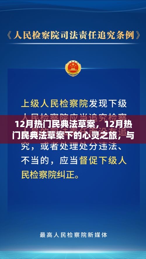 12月民典法草案下的心靈與自然之旅，探尋內(nèi)心平靜與美景共舞