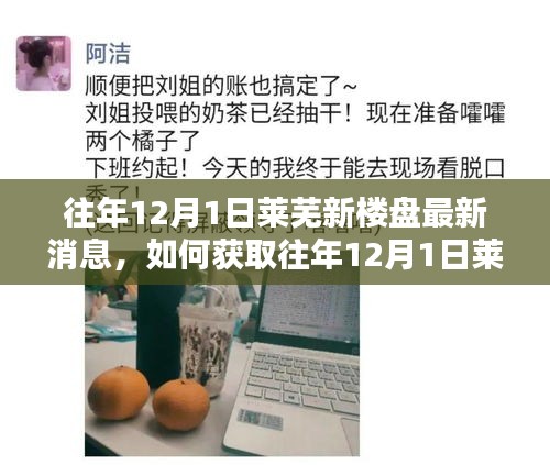 往年12月1日萊蕪新樓盤最新消息獲取指南，詳細(xì)步驟與最新動(dòng)態(tài)速遞