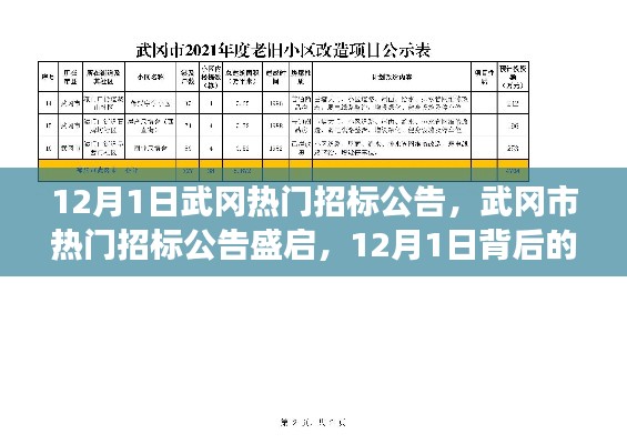 揭秘武岡市熱門招標(biāo)公告背后的故事與影響，12月1日盛啟