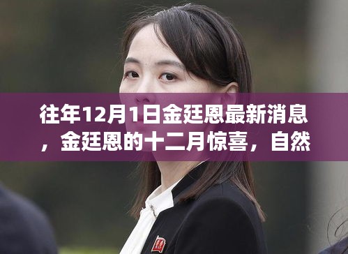 金廷恩十二月驚喜之旅，心靈啟示與自然美景的交融時刻