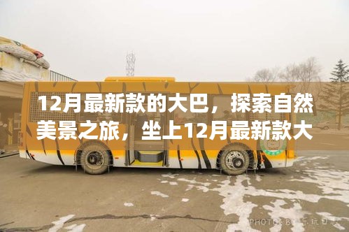 坐上最新款大巴，開(kāi)啟自然美景探索之旅，尋找內(nèi)心的寧?kù)o與平和