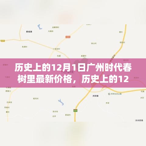 揭秘廣州時(shí)代春樹里房?jī)r(jià)動(dòng)態(tài)，歷史上的12月1日最新價(jià)格解析