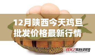 陜西今日雞蛋批發(fā)價(jià)格詳解，最新行情、查詢(xún)方法與應(yīng)對(duì)策略