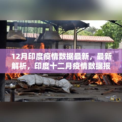 印度十二月疫情數(shù)據(jù)報告最新解析與報告概述