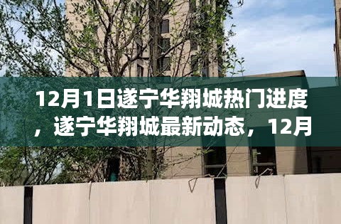 遂寧華翔城12月1日最新動態(tài)及熱門進(jìn)度全解析