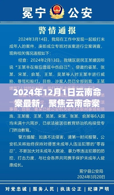 聚焦云南命案，最新進(jìn)展與深度解讀（2024年12月版）