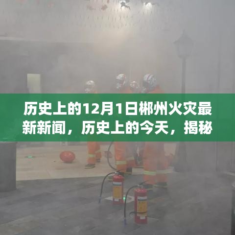 揭秘郴州火災(zāi)背后的故事，歷史上的今天回顧與最新新聞報(bào)道