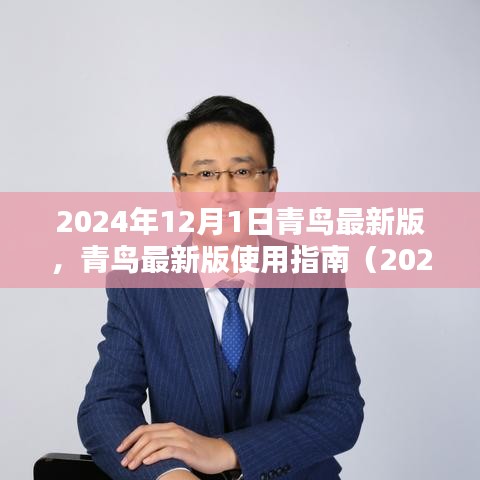 青鳥最新版使用指南（2024年12月版），初學(xué)者與進(jìn)階用戶指南共鑒