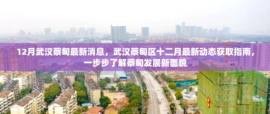 武漢蔡甸區(qū)十二月最新動態(tài)全解析，發(fā)展面貌大揭秘