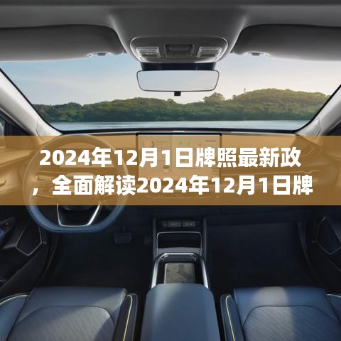 解讀2024年牌照新政，特性、體驗、競品對比及用戶群體深度分析