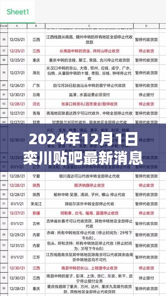 欒川貼吧最新消息今日焦點解析（2024年12月1日）