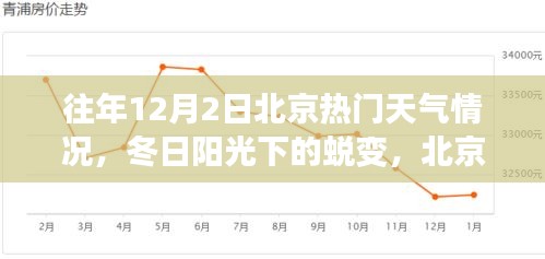 北京往年12月2日冬日陽(yáng)光下的學(xué)習(xí)之旅與自信起航，天氣回顧與蛻變時(shí)刻