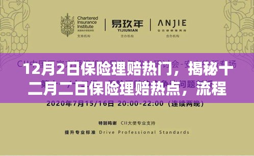 揭秘十二月二日保險(xiǎn)理賠熱點(diǎn)，流程、要點(diǎn)及注意事項(xiàng)全解析