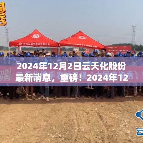 獨家揭秘，云天化股份最新動態(tài)與未來展望（2024年12月2日更新）
