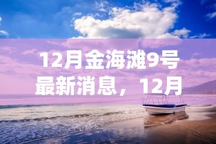 12月金海灘9號最新動態(tài)與指南，任務(wù)完成與技能學(xué)習(xí)全解析