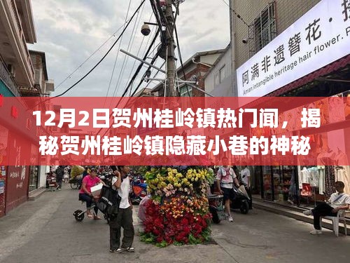 賀州桂嶺鎮(zhèn)隱藏小巷的神秘特色小店探尋，美食探險之旅揭秘聞