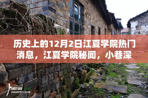 江夏學(xué)院十二月二日秘聞探尋，寶藏小店與獨(dú)特風(fēng)采揭秘