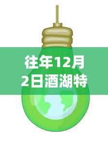 酒湖特高壓最新動態(tài)，進展、觀點與聚焦