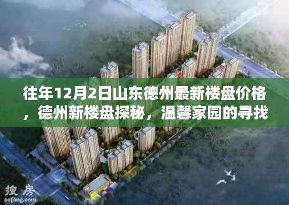 德州新樓盤(pán)價(jià)格揭秘，溫馨家園探尋與友情綻放日