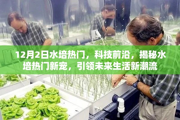 揭秘水培熱門新寵，引領未來生活潮流，科技前沿揭秘水培趨勢分析