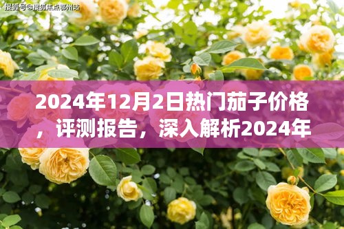 2024年熱門茄子價(jià)格深度解析與評(píng)測(cè)報(bào)告
