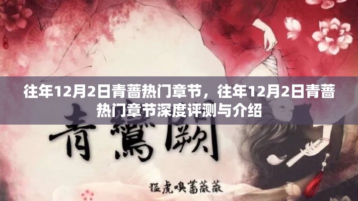 往年12月2日青薔熱門章節(jié)深度解析與評(píng)測(cè)